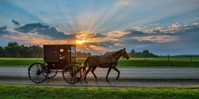 Camper submitted image from Marcella Falls RV Park and Campground