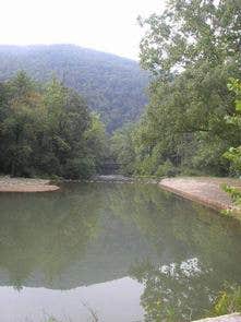 Camper submitted image from Monongahela National Forest Blue Bend Campground - 5