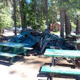 Review photo of McCloud RV Resort by heather , June 29, 2024