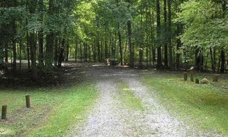 Camping near Greenbrier State Forest: Blue Meadow, White Sulphur Springs, West Virginia