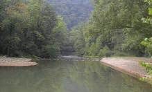 Camping near Potts Creek Camp: Blue Meadow, White Sulphur Springs, West Virginia