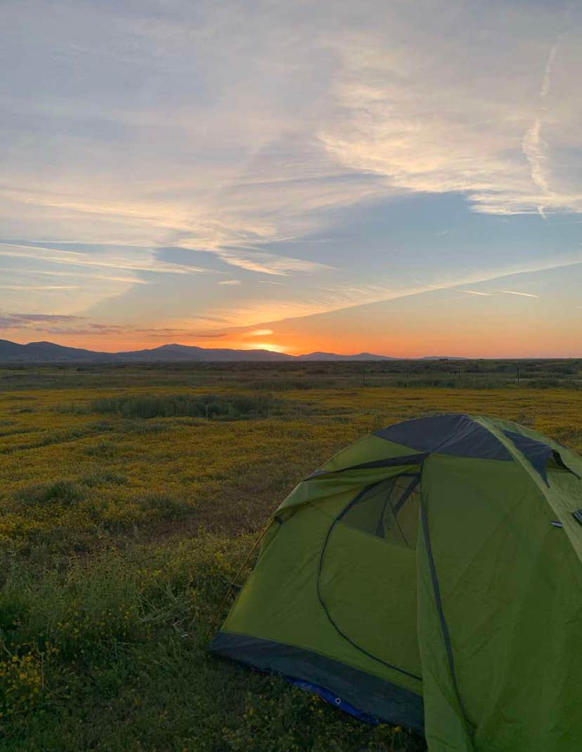 Cooper B.'s photo at Camp Carrizo near Alpaugh, CA