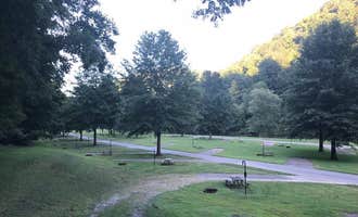 Camping near Bulltown Camp — Burnsville Lake Wildlife Management Area: Gerald Freeman Campground, Napier, West Virginia