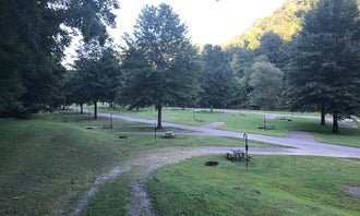 Camping near Sutton Lake Picnic Shelters — Elk River Wildlife Management Area: Gerald Freeman Campground, Napier, West Virginia