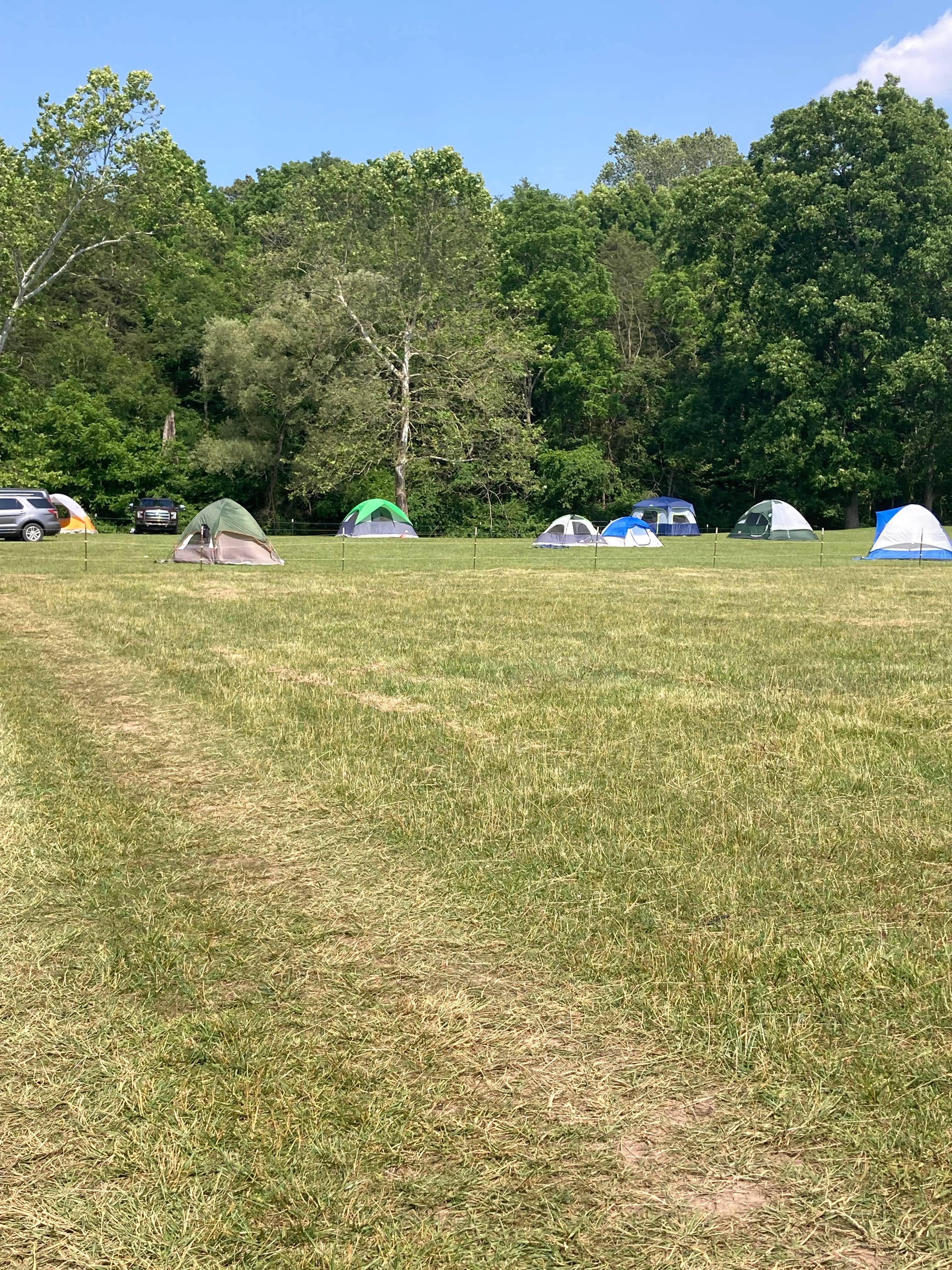 Ina K.'s photo of tent camping at Corner Cove near Elk Creek, VA