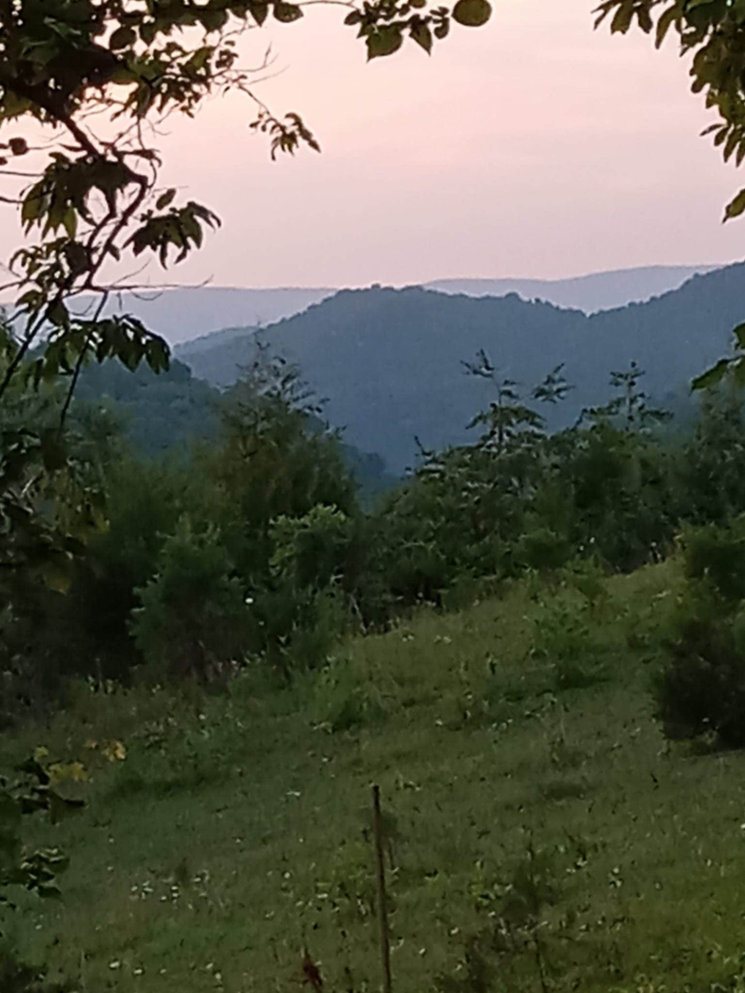 Camper-submitted photo at Camping with the Cows near Big Stone Gap, VA