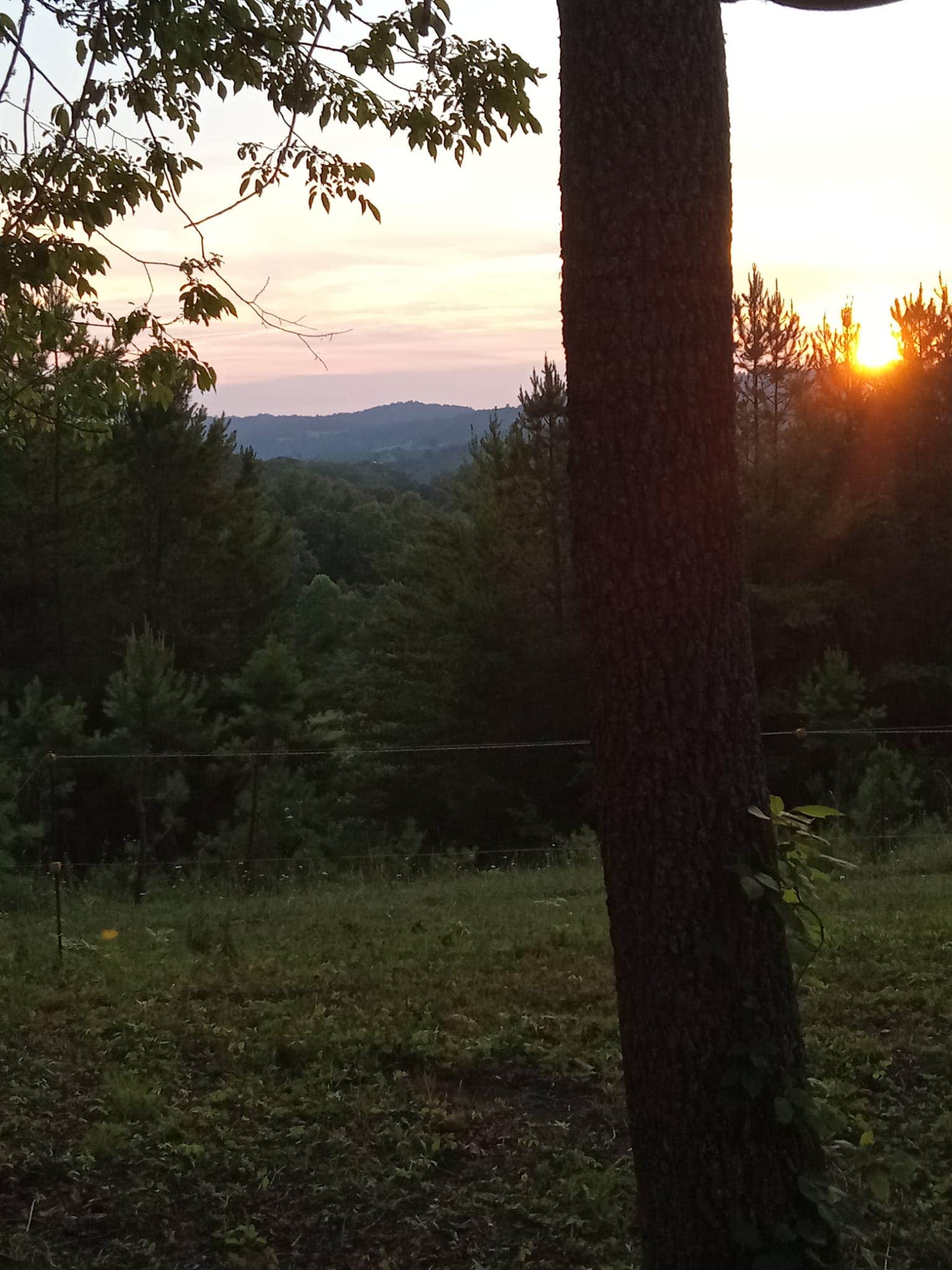 Camper-submitted photo at Camping with the Cows near Big Stone Gap, VA