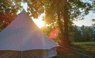 Allen & Kimberly K.'s photo at Camping with the Cows near Eidson, TN