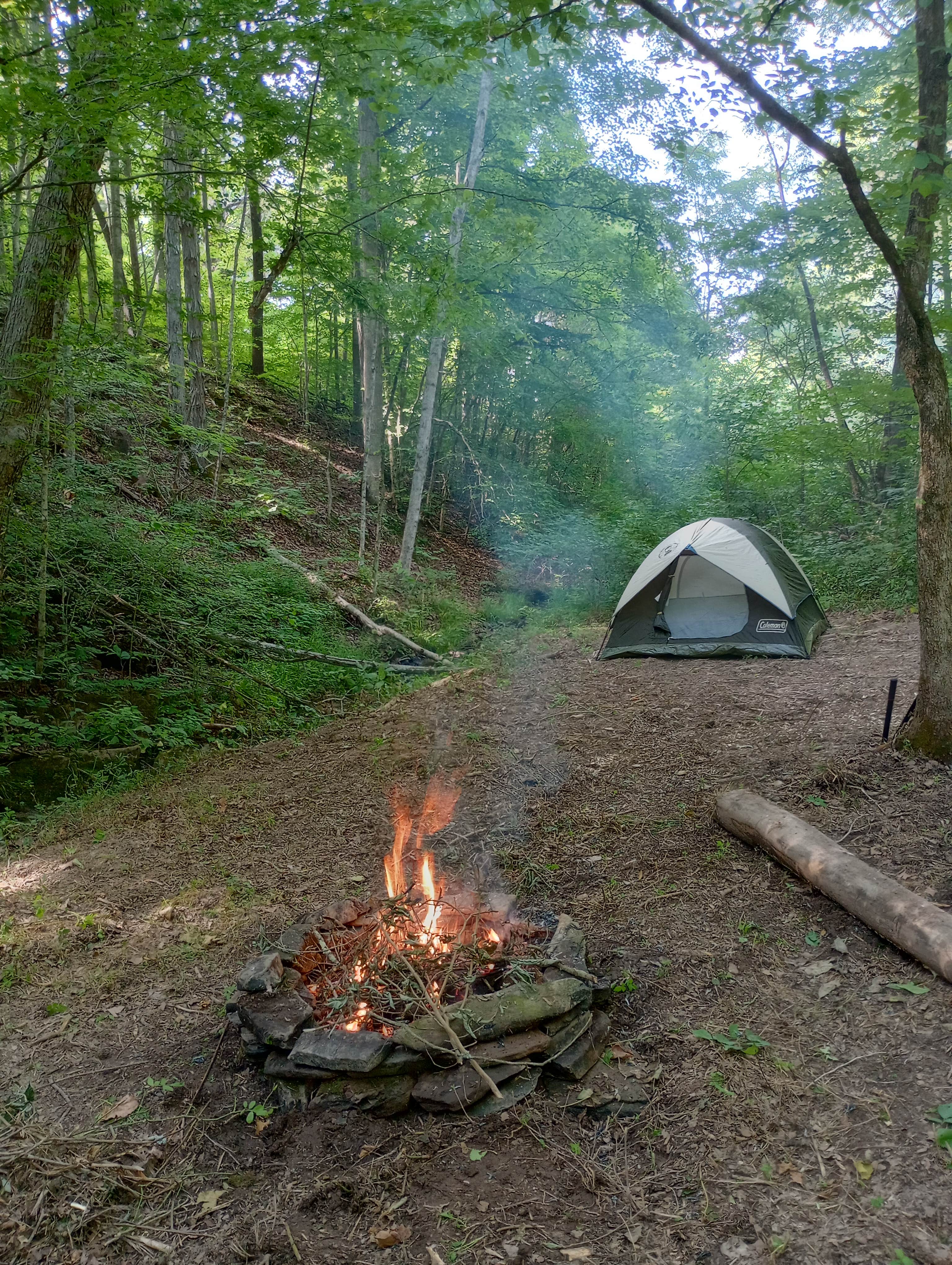 Camper-submitted photo at Camping with the Cows near Big Stone Gap, VA