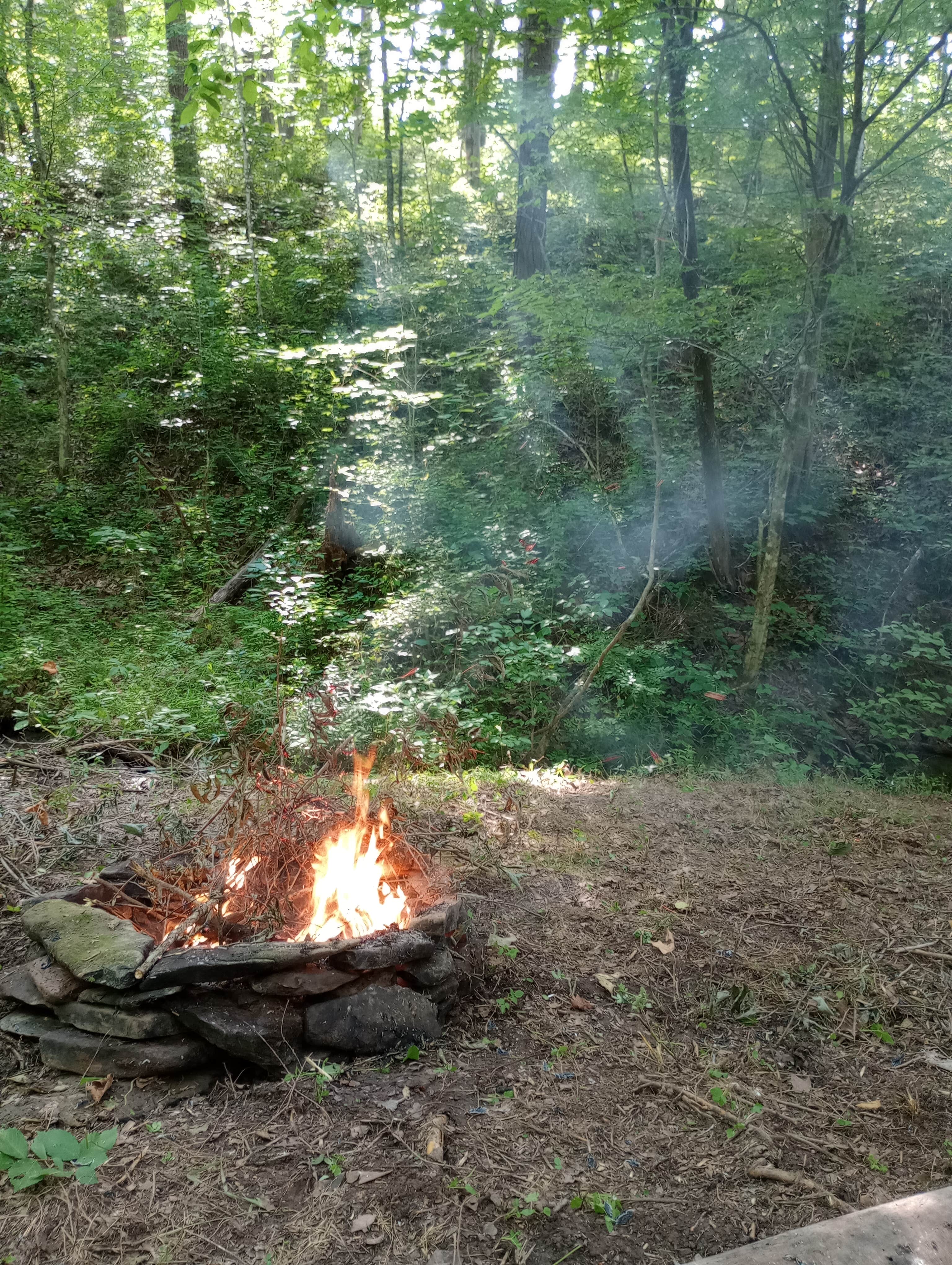 Camper-submitted photo at Camping with the Cows near Ewing, VA