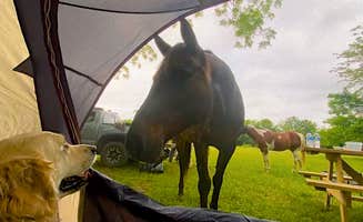 Rick's photo of tent camping at Sleep Under The Pecan Trees near Sunnyvale, TX