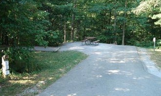 Camping near Brooklyn Heights Riverfront Campground: Stuart Recreation Area, Bowden, West Virginia