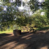 Review photo of Reedsburg Dam State Forest Campground by Judy  B., September 14, 2016