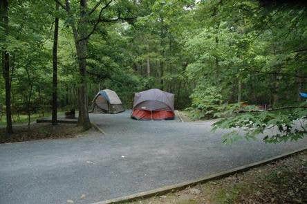 Camper submitted image from Trout Pond Recreation Area - 3