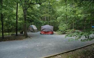 The Dyrt's photo at Trout Pond Recreation Area near Baker, WV