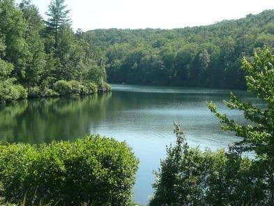 Camper submitted image from Trout Pond Recreation Area - 1