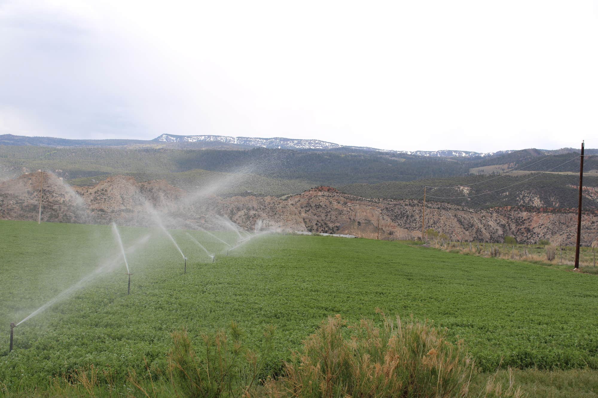 Camper-submitted photo at Capitol Reef RV Park and Glamping near Hanksville, UT