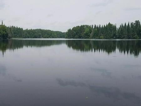 Camper submitted image from Chequamegon National Forest Day Lake Campground - 1