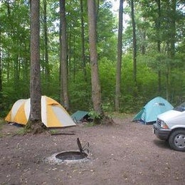 Public Campgrounds: Eastwood NF Campground