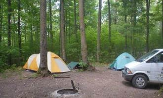 Camping near Pioneer Park & Campground: Eastwood NF Campground, Westboro, Wisconsin