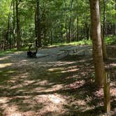 Review photo of Shinleaf — Falls Lake State Recreation Area by Stuart K., July 1, 2024