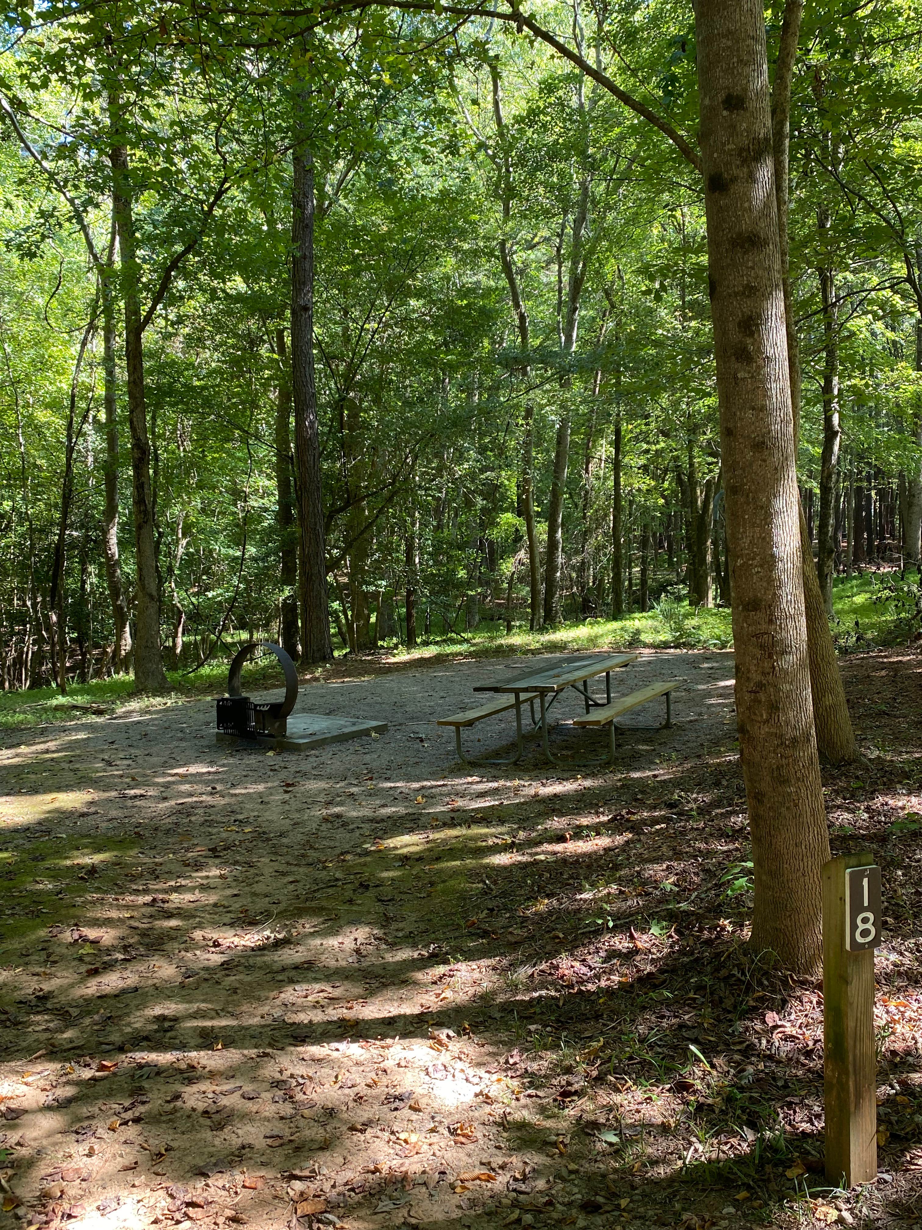 Camper submitted image from Shinleaf — Falls Lake State Recreation Area - 5