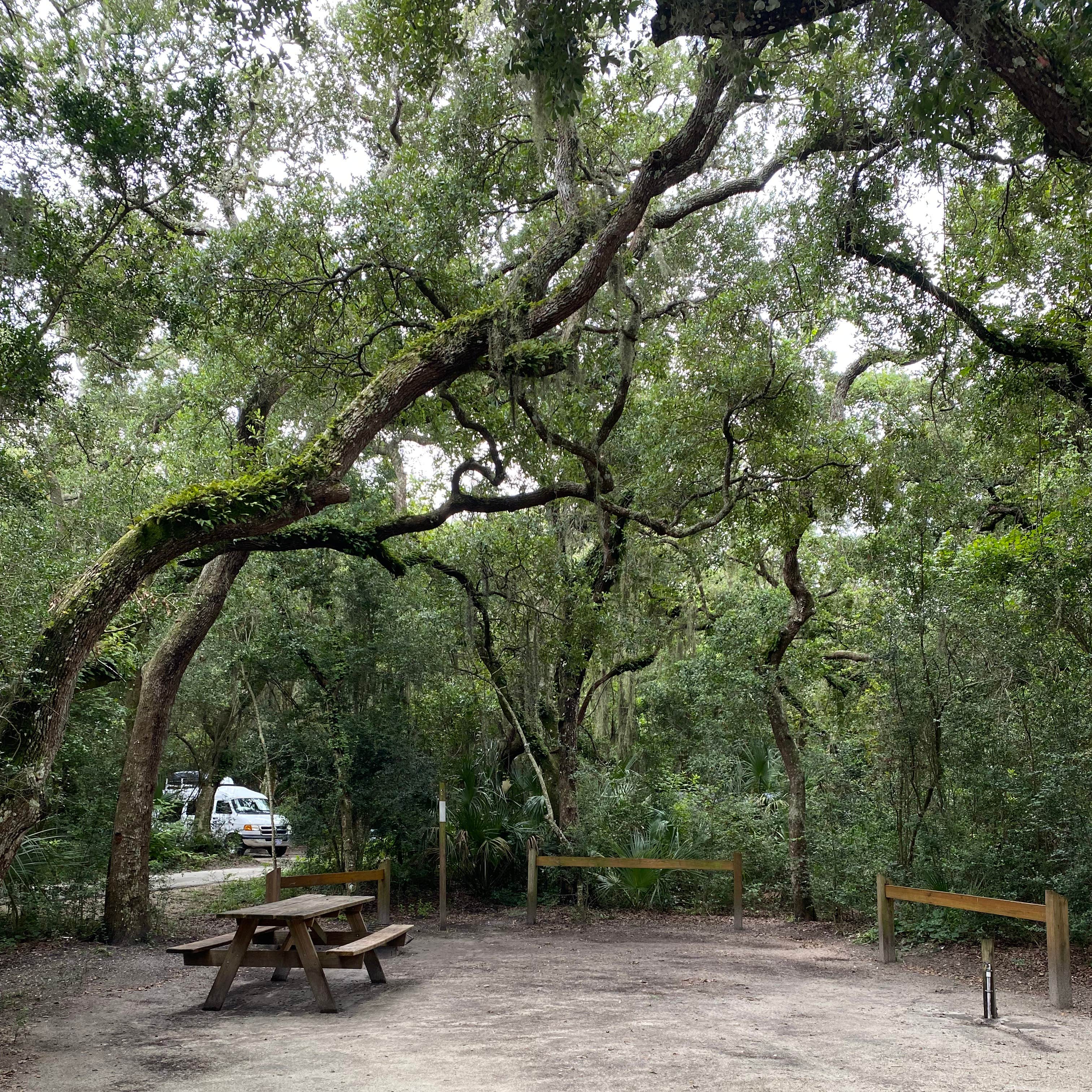 Blue Spring State Park Campground | Orange City, Florida