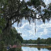 Review photo of Blue Spring State Park Campground by Stuart K., July 1, 2024