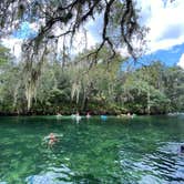 Review photo of Blue Spring State Park Campground by Stuart K., July 1, 2024