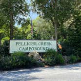 Review photo of Pellicer Creek Campground by Stuart K., July 1, 2024