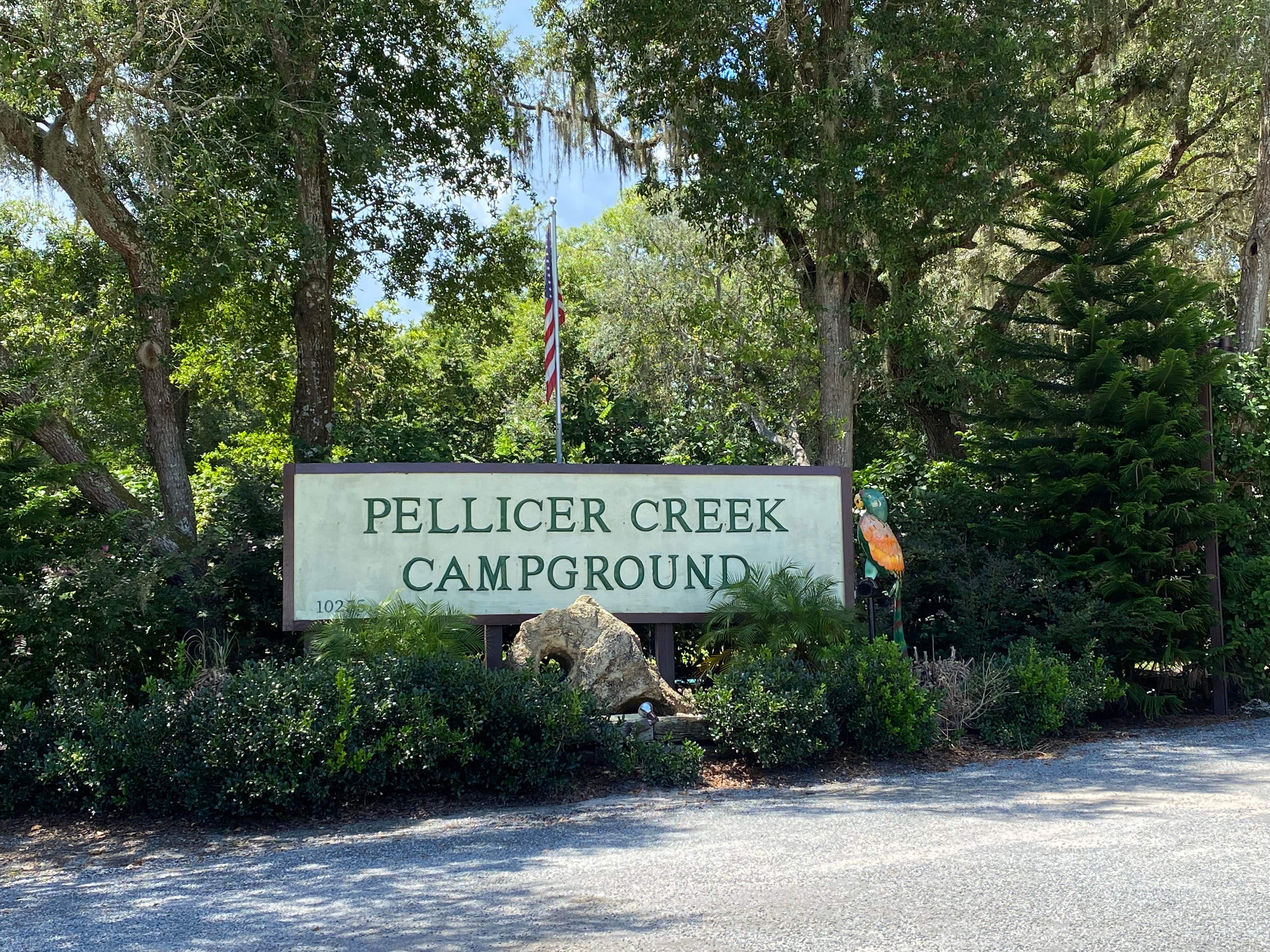 Camper submitted image from Pellicer Creek Campground - 2