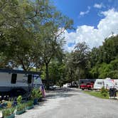 Review photo of Pellicer Creek Campground by Stuart K., July 1, 2024