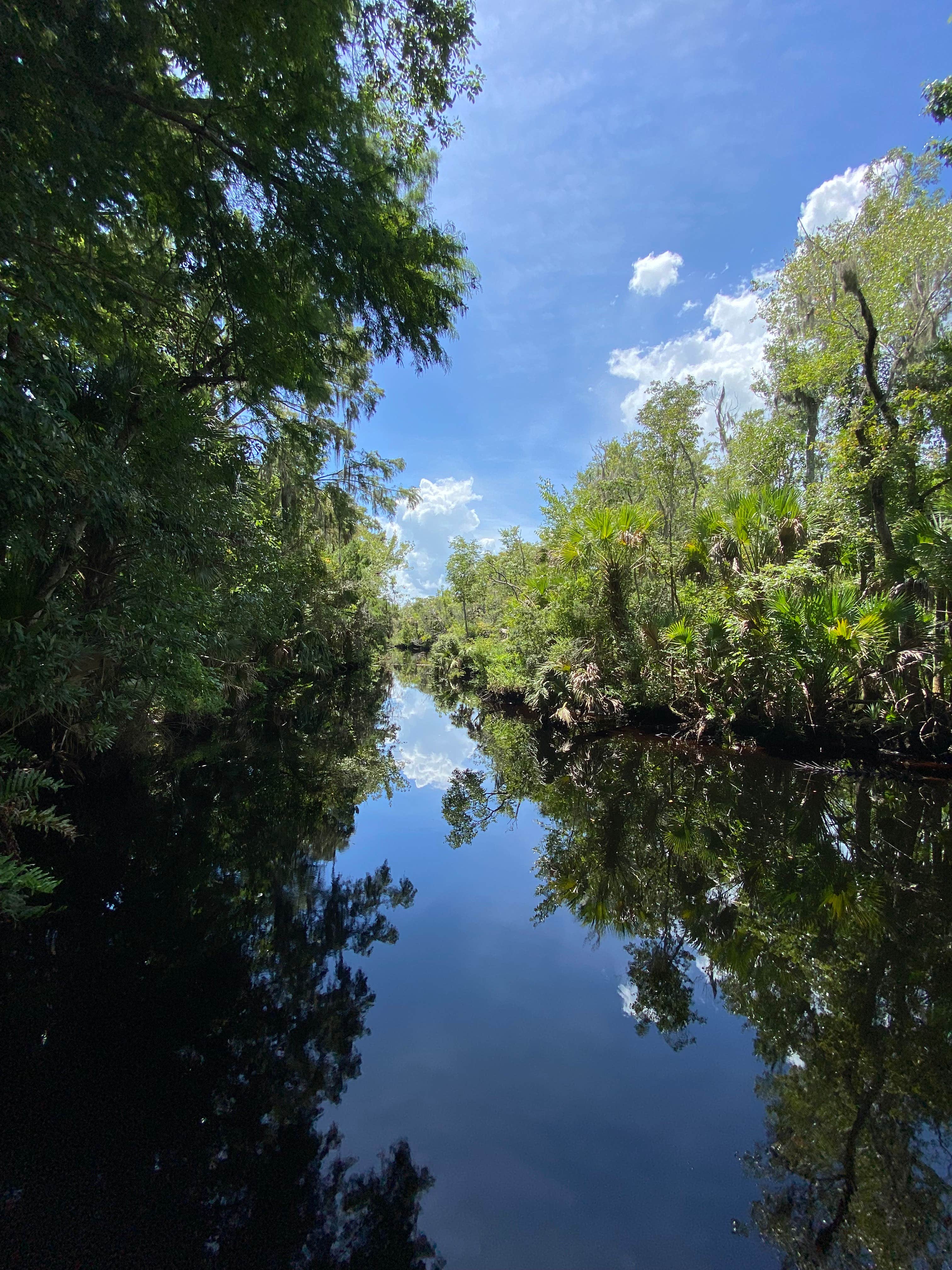 Camper submitted image from Pellicer Creek Campground - 3