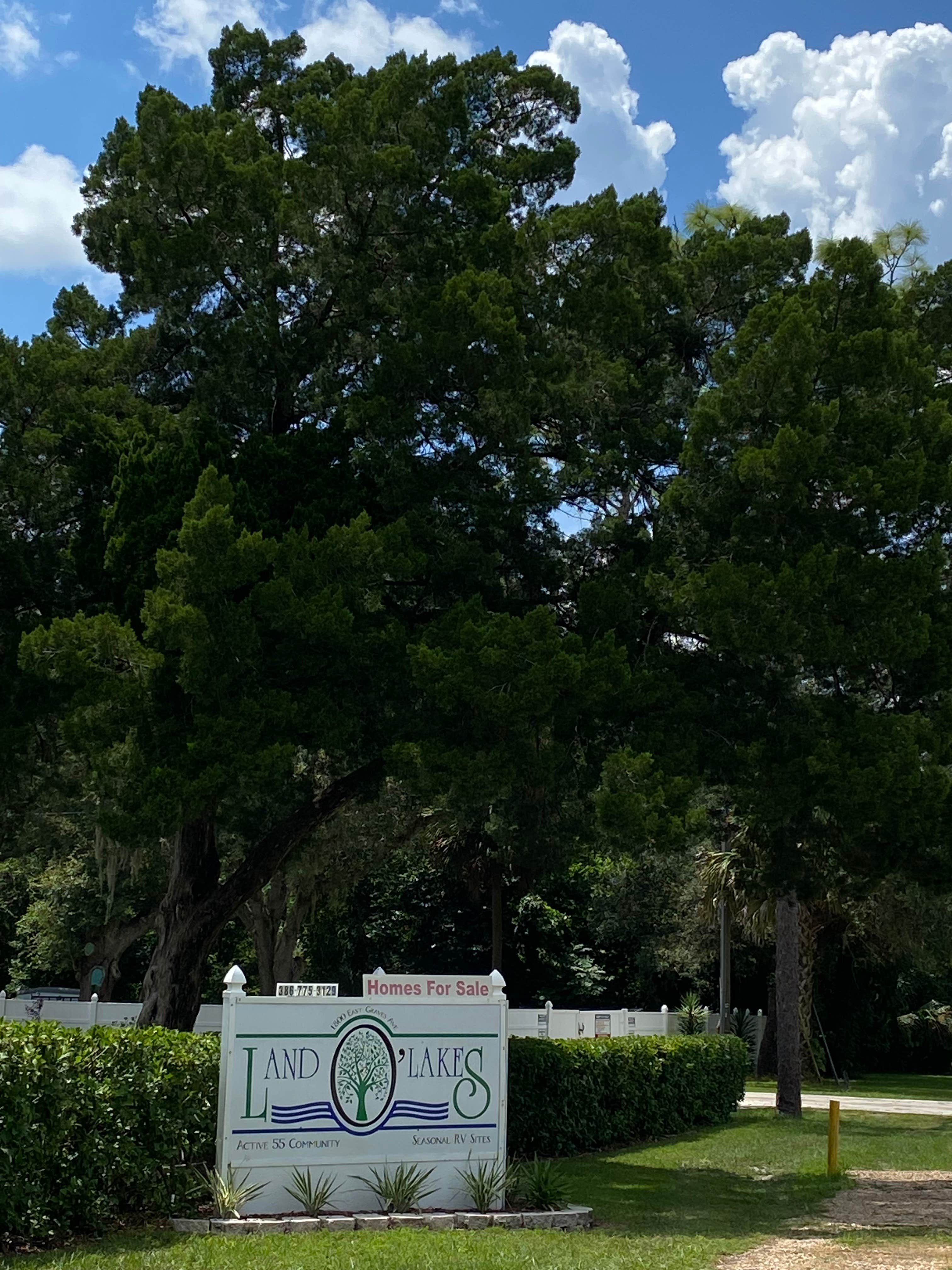 Camping near Volusia County Park Gemini Springs Campground: Land O' Lakes MHP & RV, Orange City, Florida