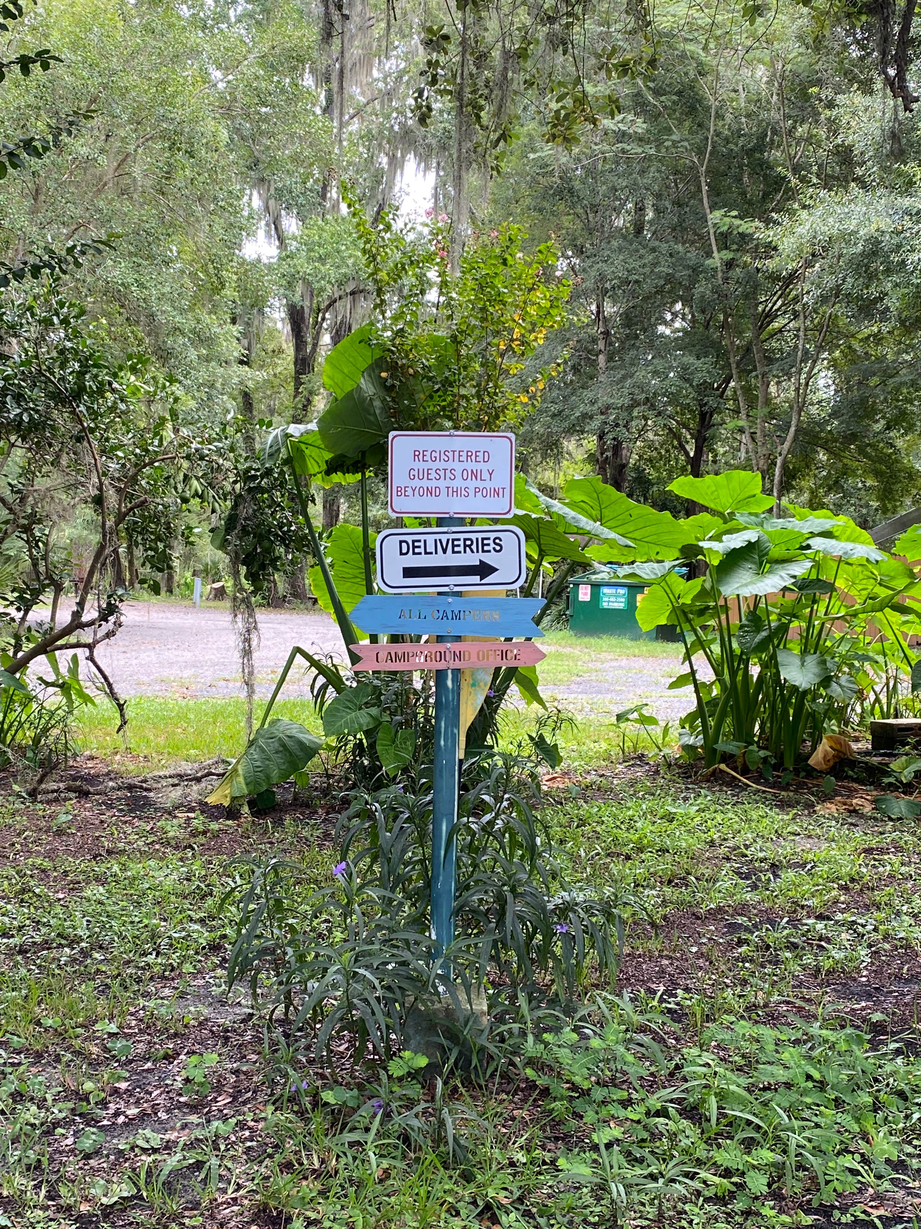 Camper-submitted photo at Kate’s Fish Camp near Waldo, FL