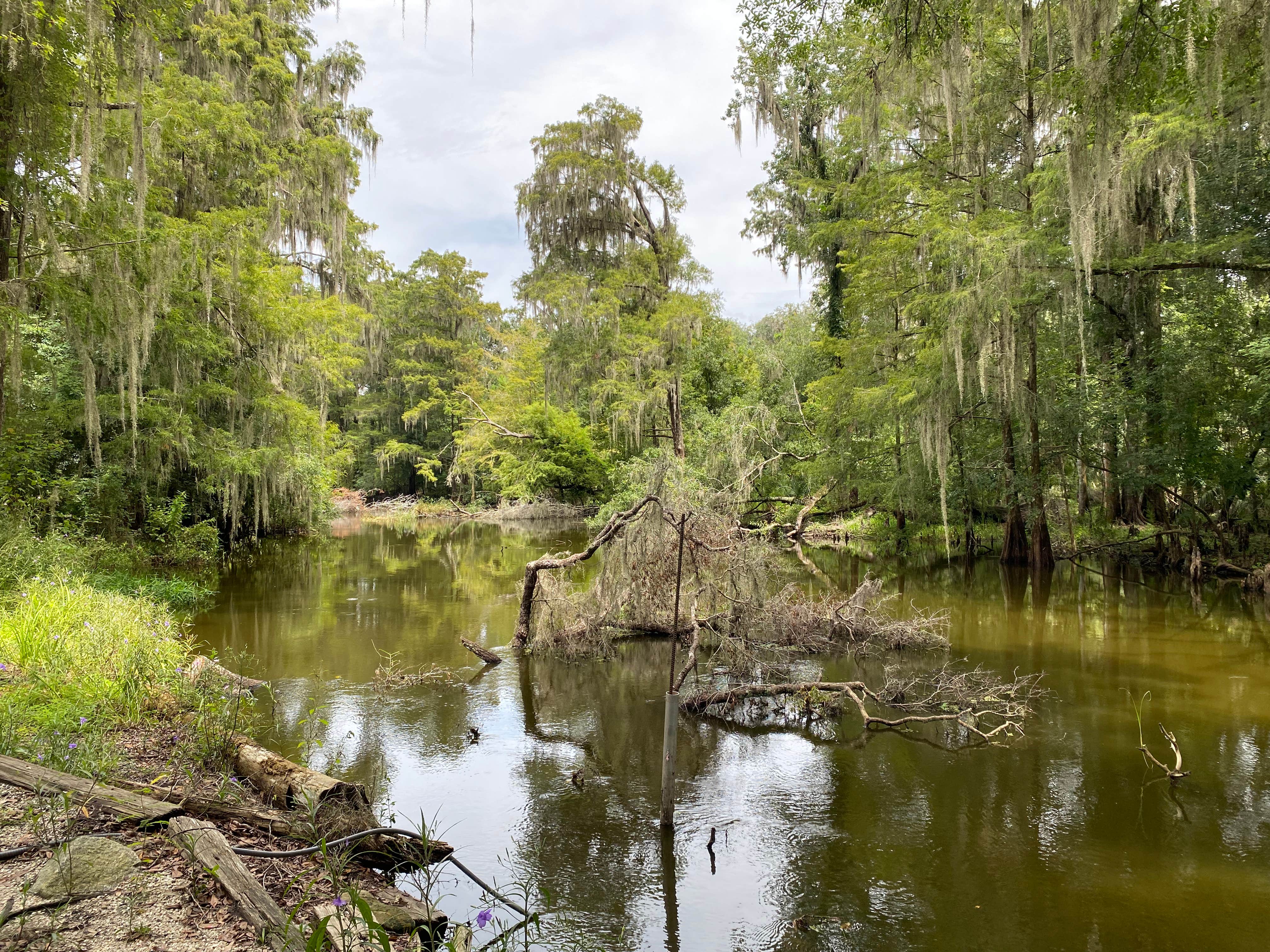 Camper-submitted photo at Kate’s Fish Camp near Waldo, FL