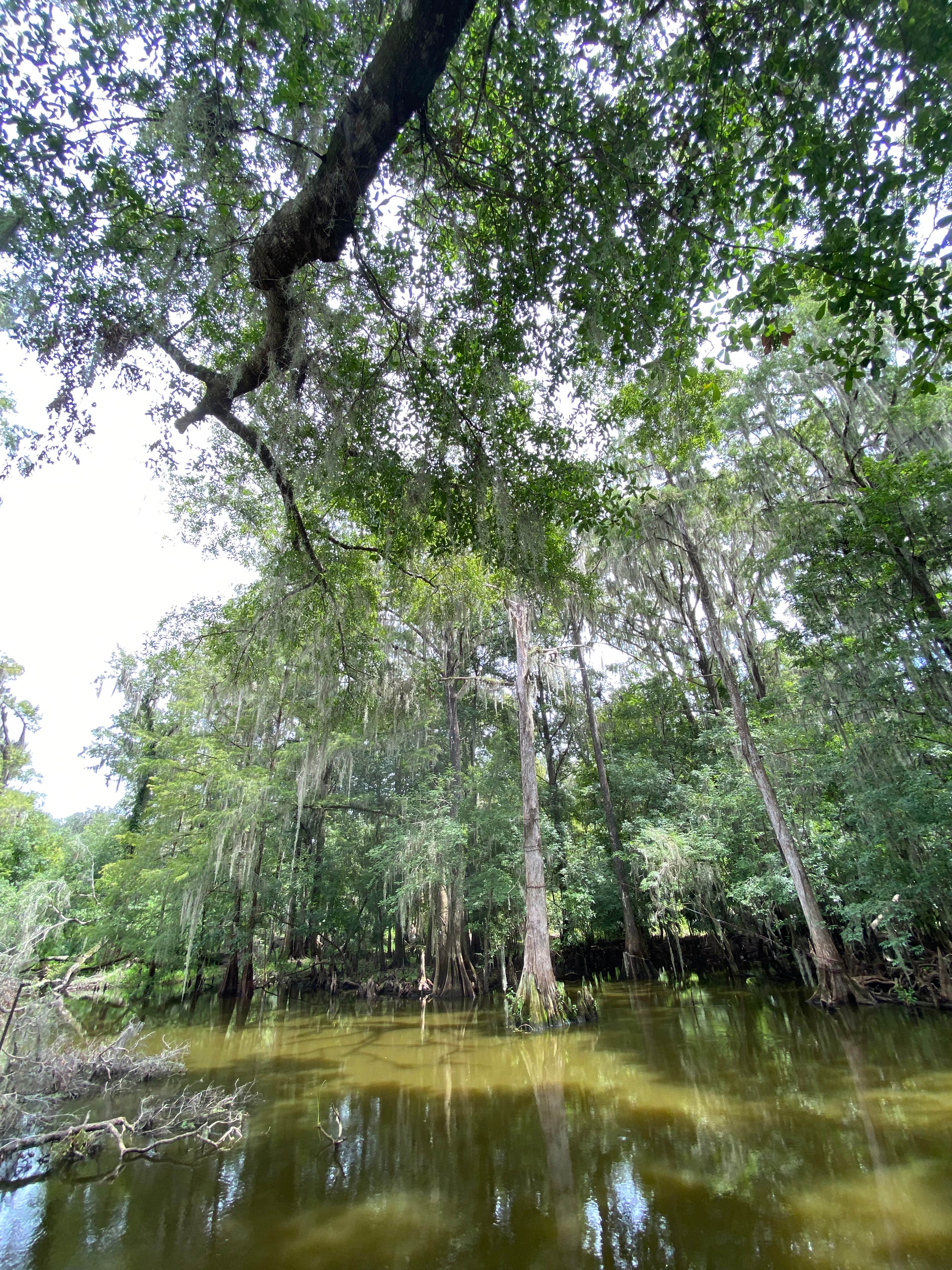 Camper-submitted photo at Kate’s Fish Camp near Waldo, FL
