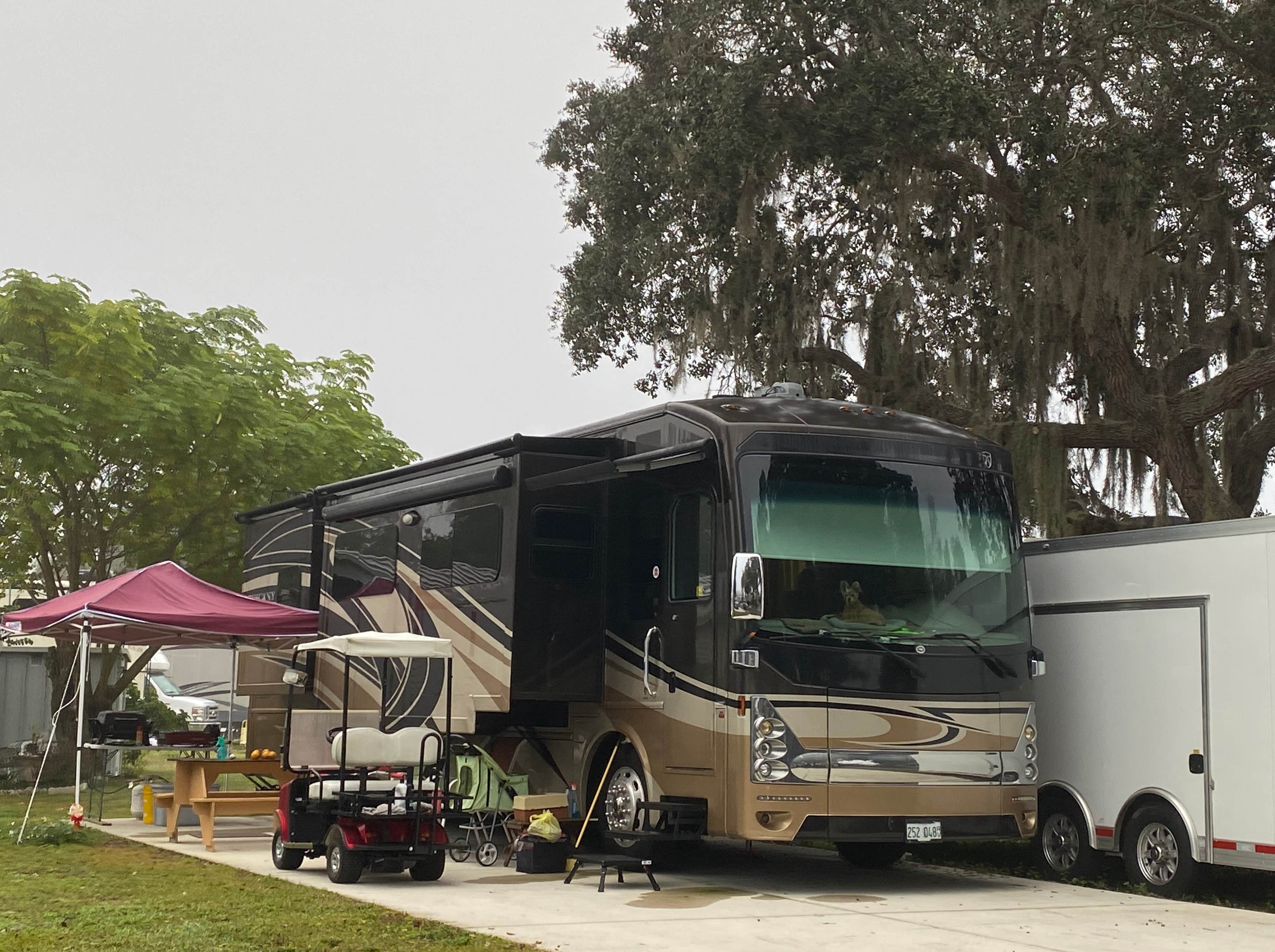 Camping near Fisherman's Cove Marina & RV Park: Lake Point 55+ RV Park, Tavares, Florida