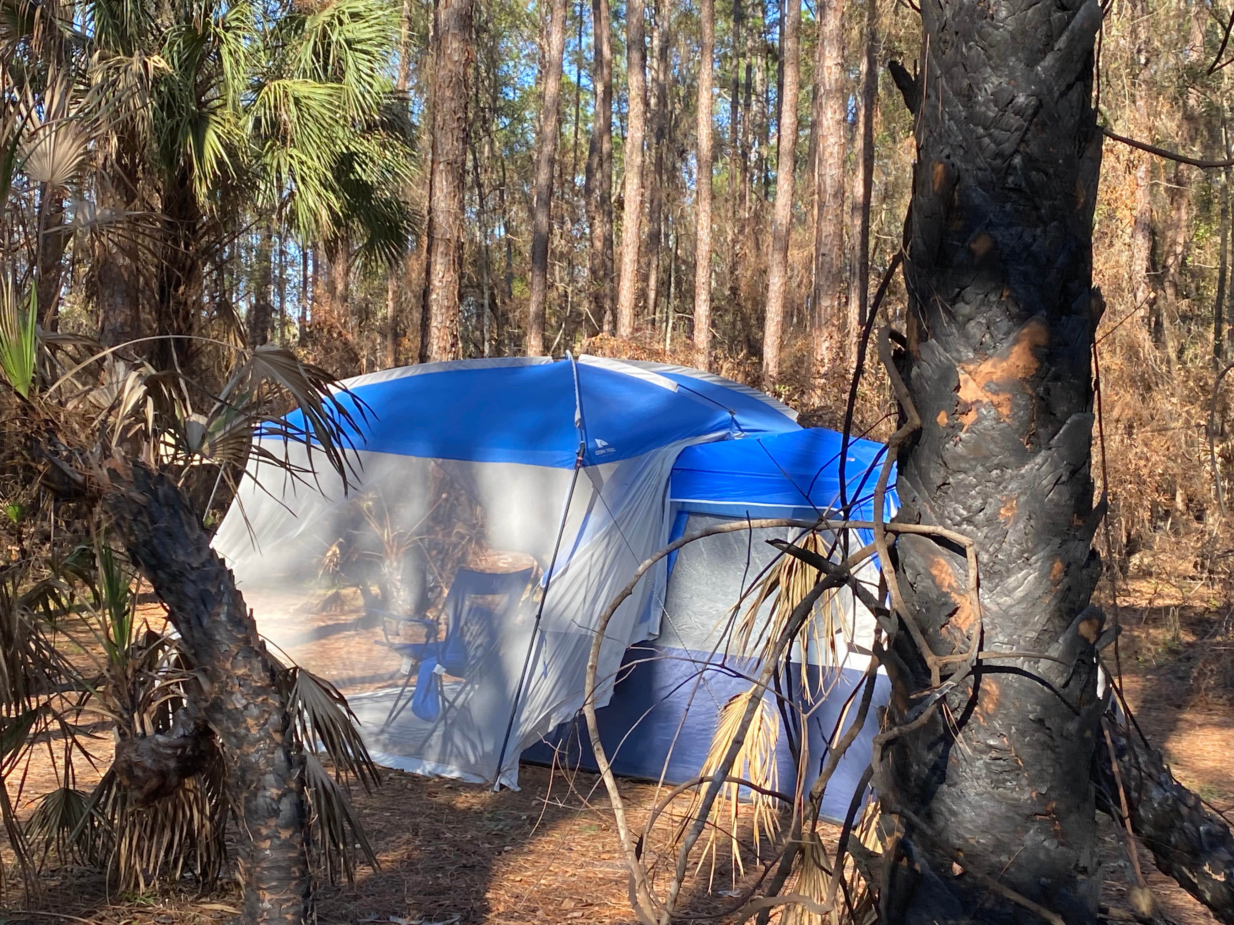 Stuart K.'s photo at Rodman Campground near Pomona Park, FL