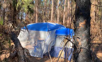 Stuart K.'s photo at Rodman Campground near San Mateo, FL