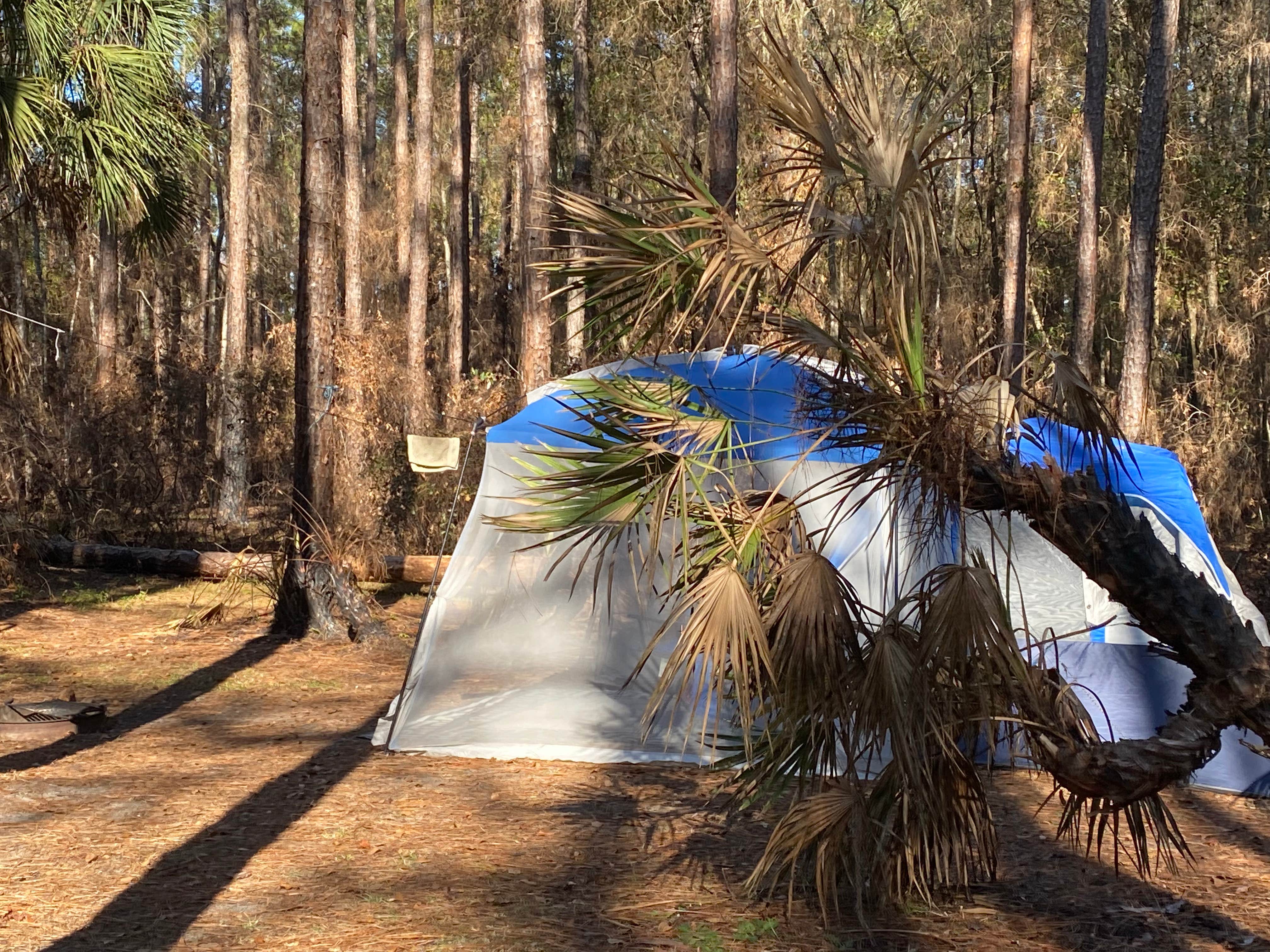 Stuart K.'s photo at Rodman Campground near Pomona Park, FL