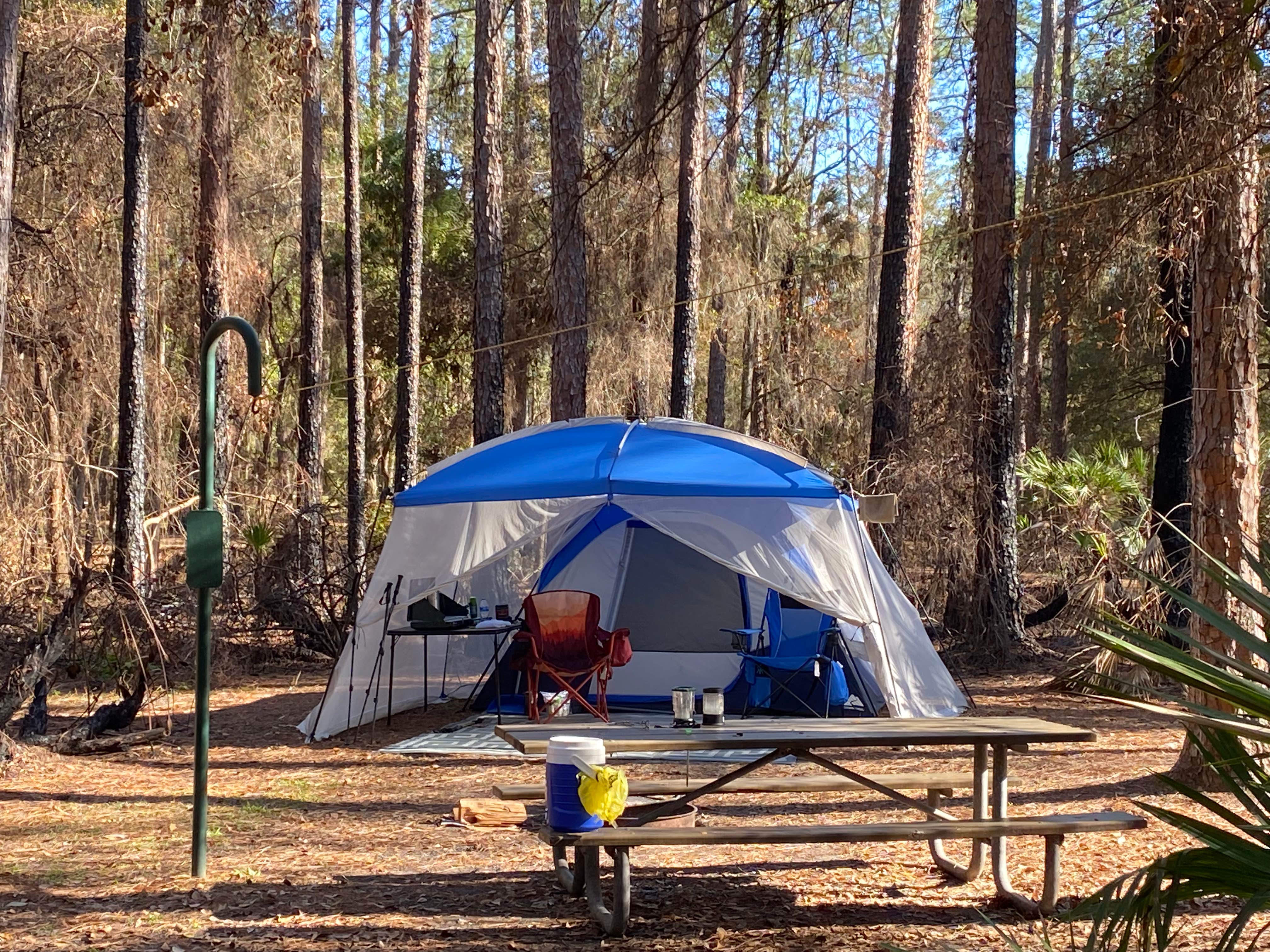 Stuart K.'s photo at Rodman Campground near Palatka, FL