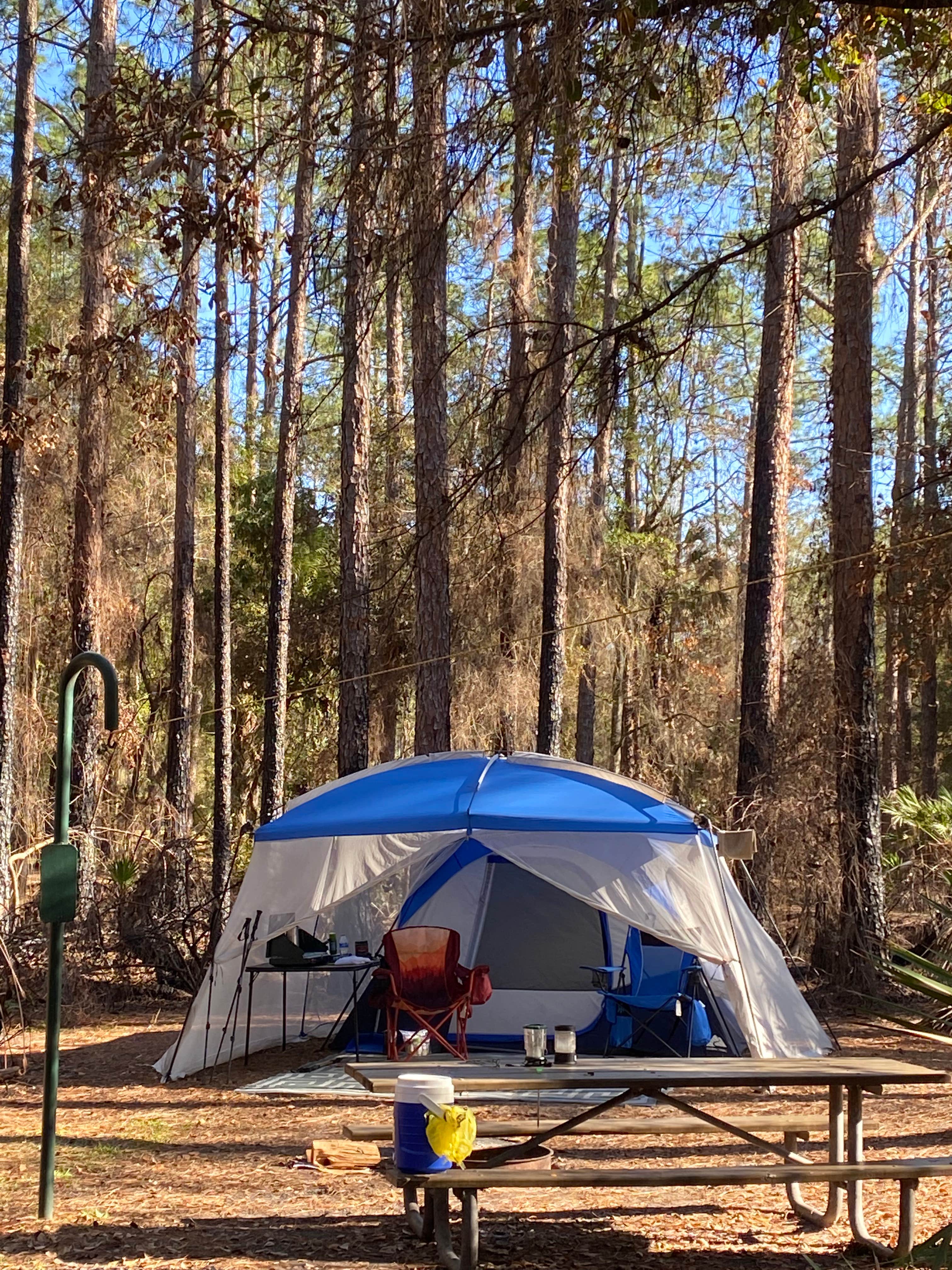 Stuart K.'s photo at Rodman Campground near Pomona Park, FL