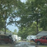 Review photo of Horne Lake RV Park by Stuart K., July 1, 2024