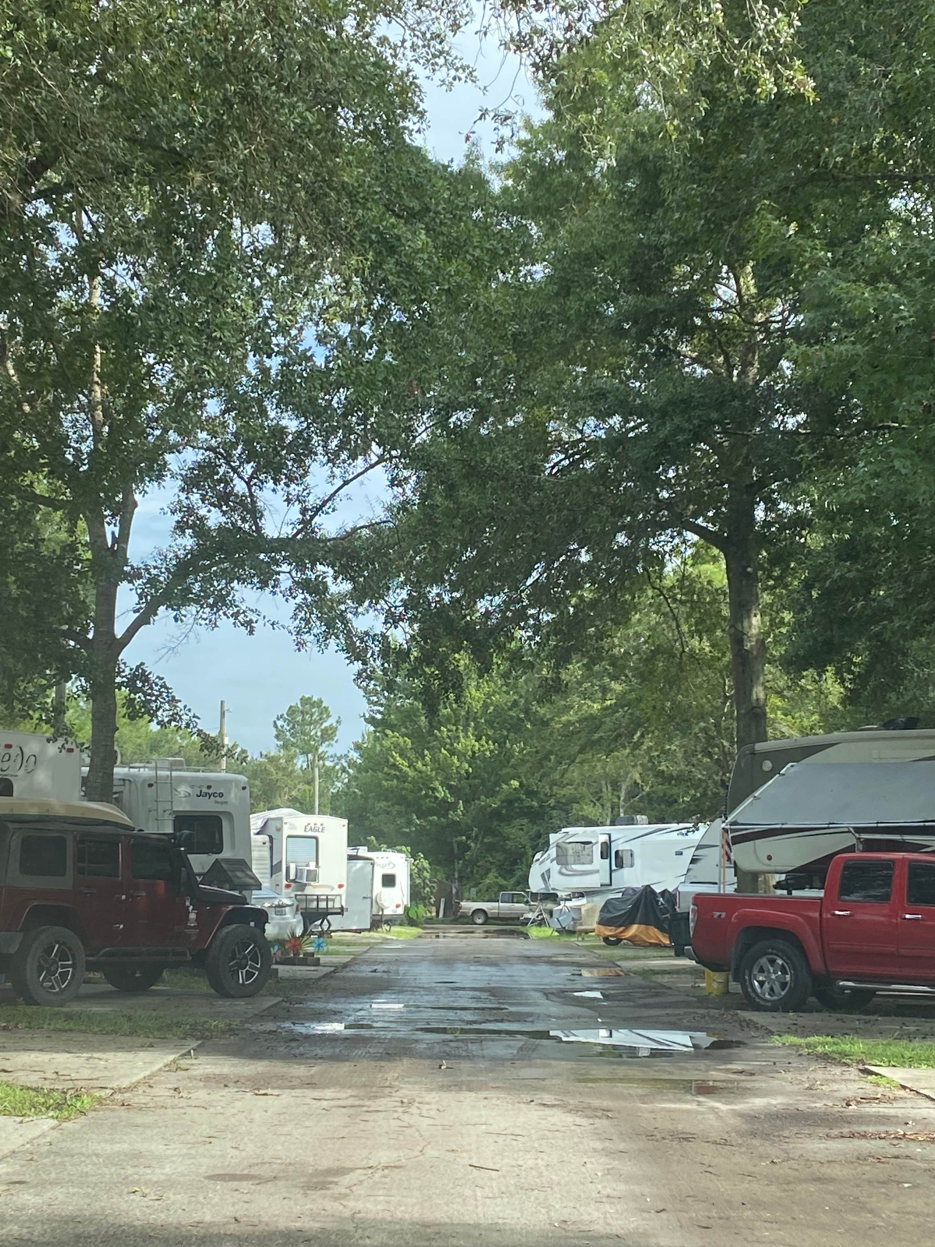 Camper submitted image from Horne Lake RV Park - 2