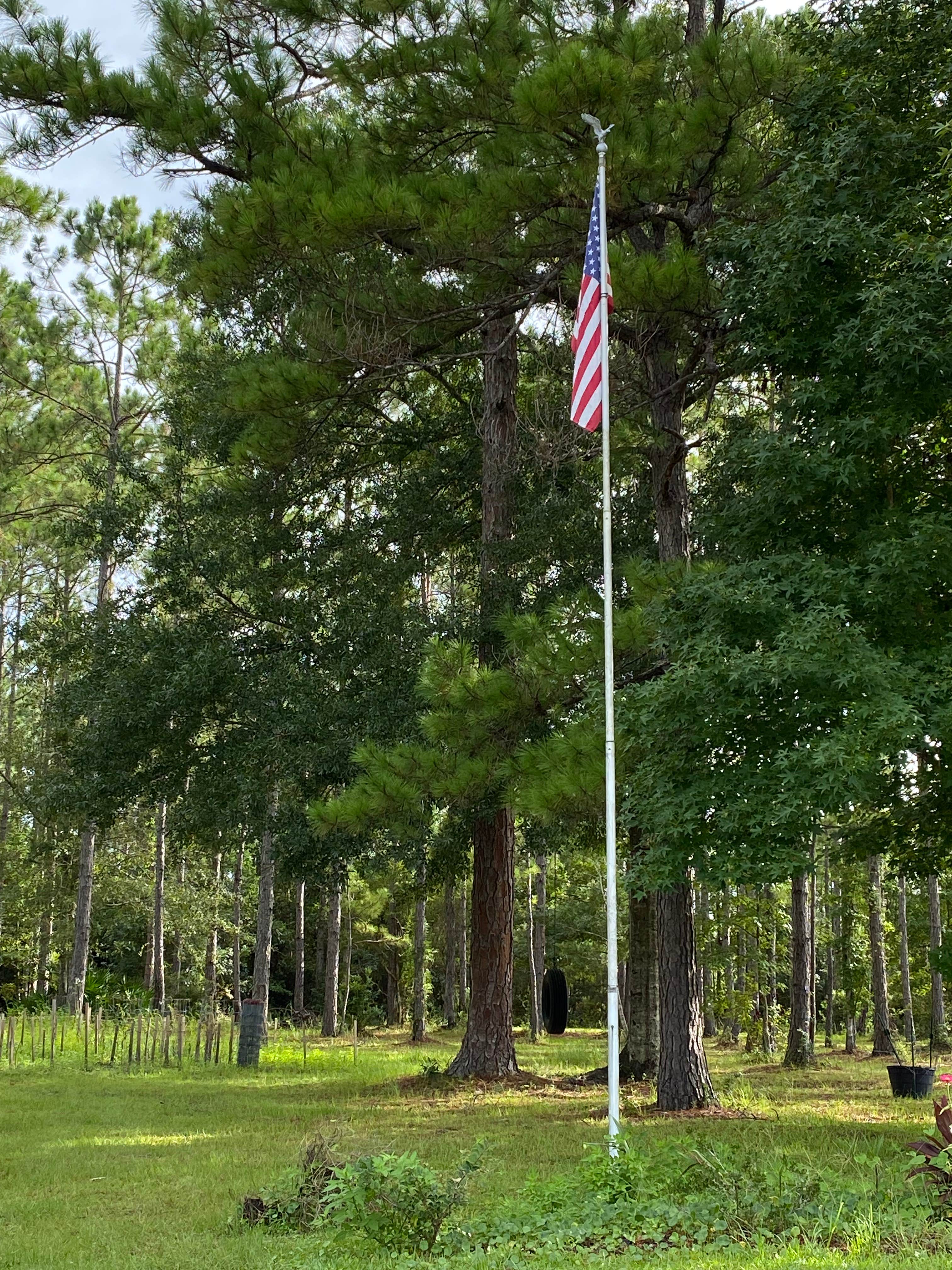Camping near Bow and Arrow Campground: Horne Lake RV Park, Fernandina Beach, Florida
