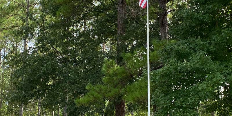Camper submitted image from Horne Lake RV Park
