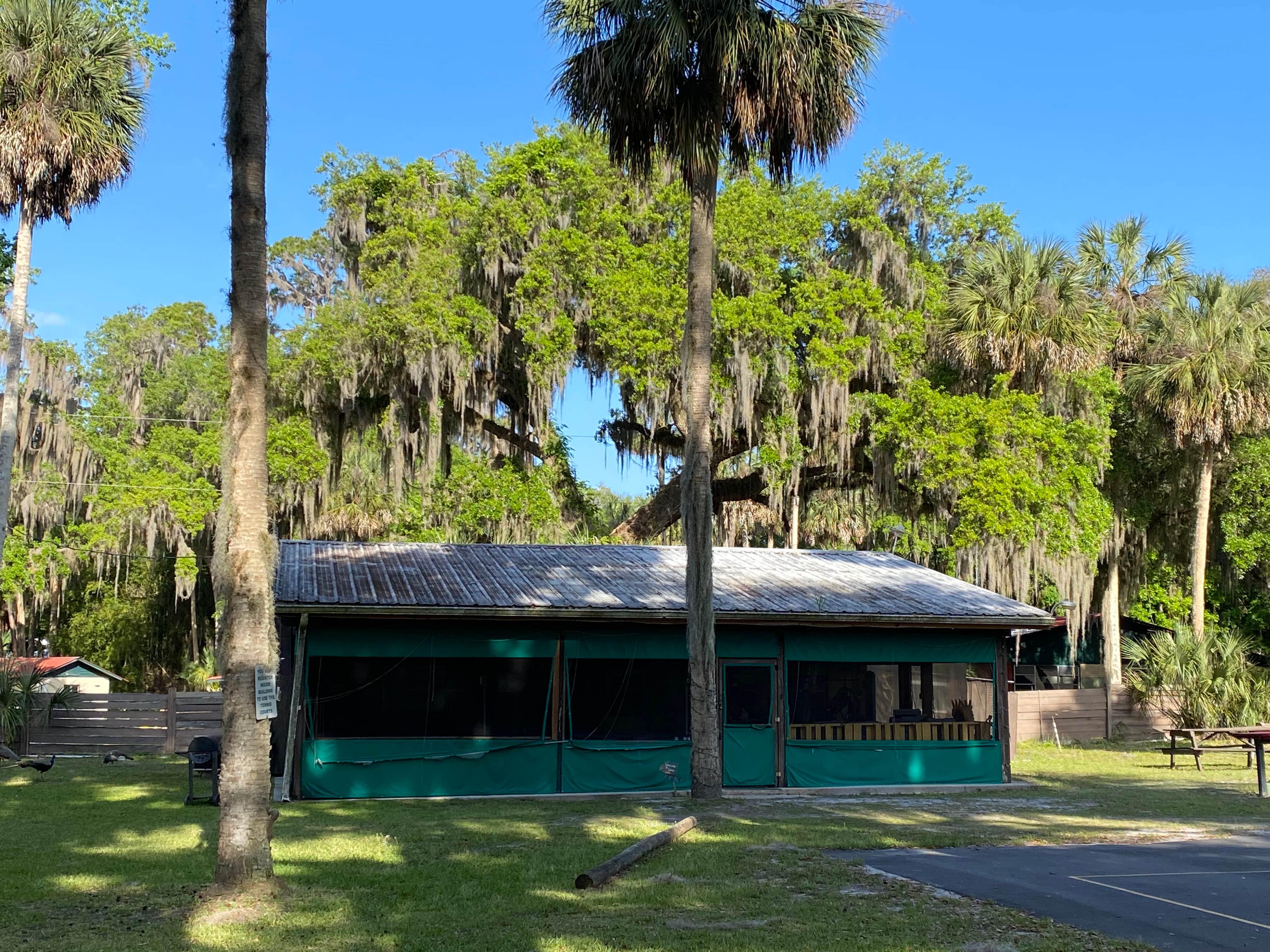 Camper-submitted photo at Rivers Edge RV Park near Welaka, FL