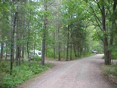 Camper submitted image from Morgan Lake Campground And Group Site - 4