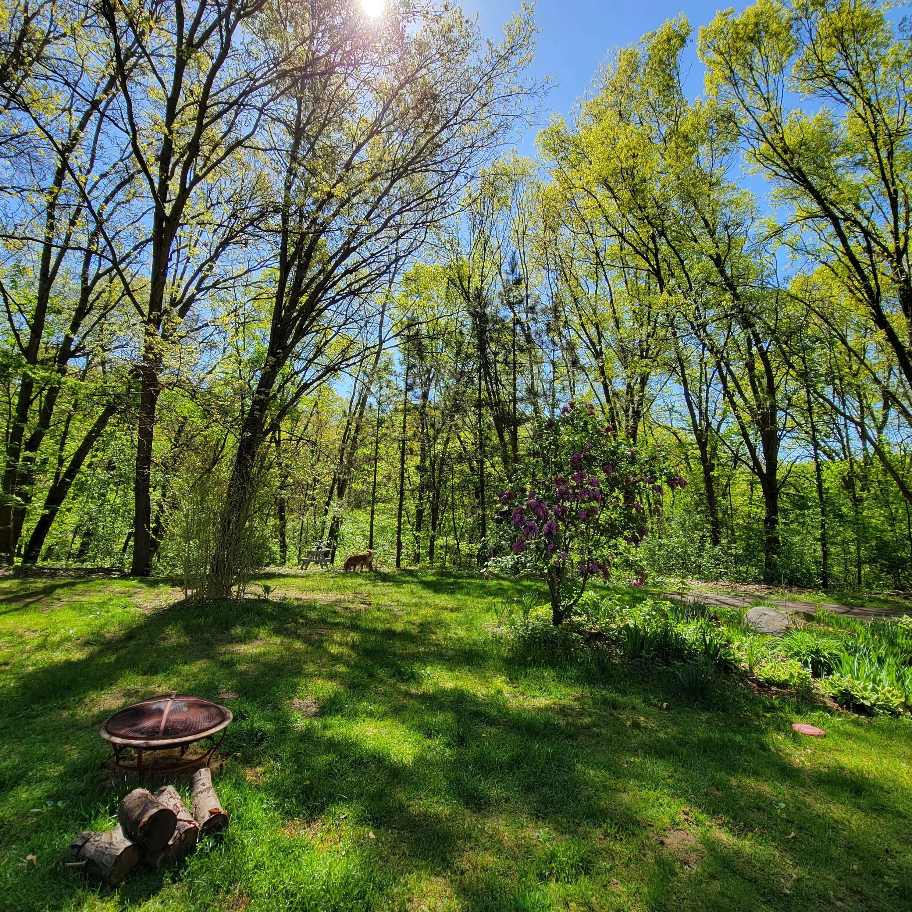 Camper-submitted photo at Camp Clear Sky near Charlotte, MI